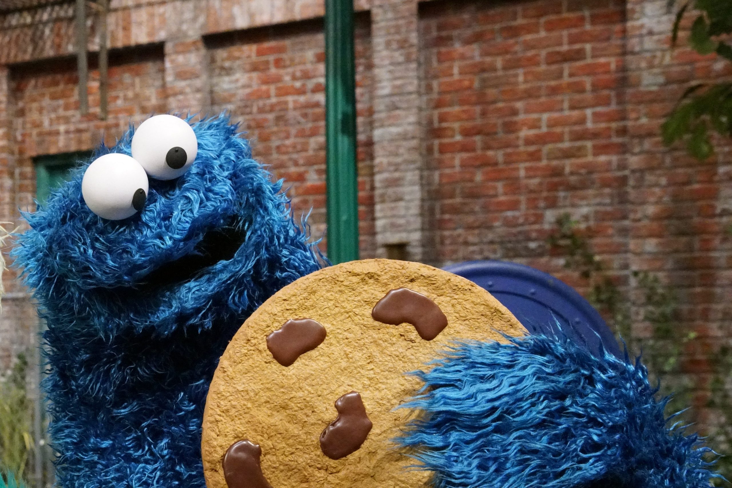 Cookie Monster 2